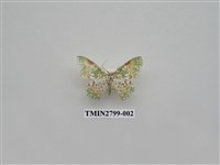 藏品(尺蛾379)的圖片